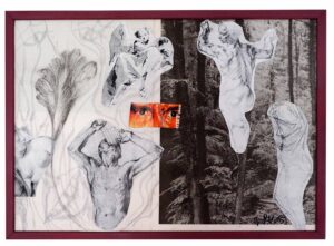 Gentle Echoes: Da Vinci Revisitad